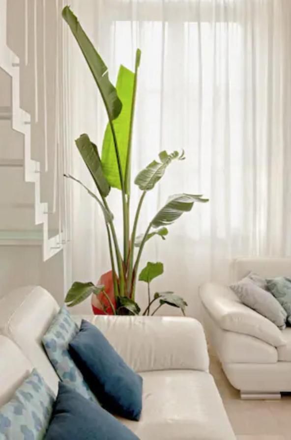 티레니아 Amazing Sea View Flat 빌라 외부 사진